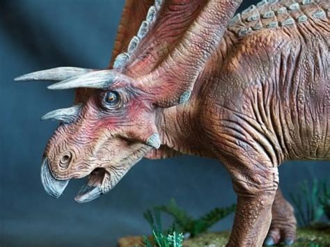 Anchiceratops Pictures & Facts - The Dinosaur Database