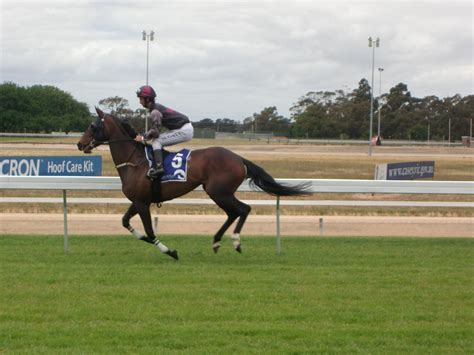 Number 5 - First Race - Cranbourne Racing Christmas Carniv… | Flickr