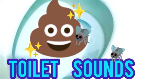 Toilet Sounds • Sound Effects - YouTube