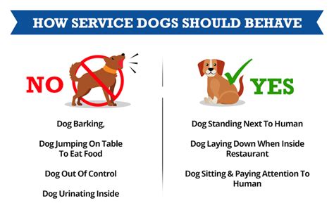 How to Get Your Service Dog to Stop Barking