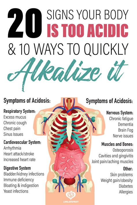 20 Signs Your Body Is Too Acidic, and How to Fix It - Live Love Fruit