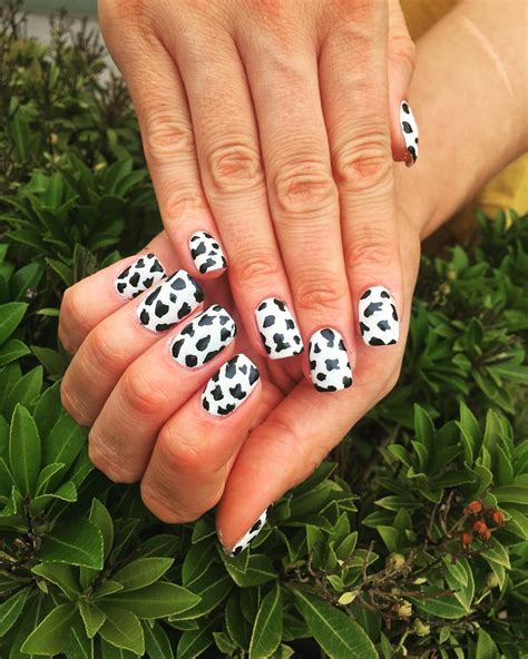 Cow Print Nails | Trending Animal Print of 2019