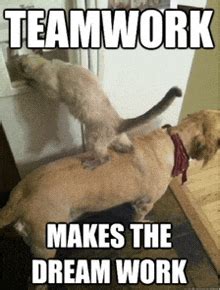 Teamwork Makes The Dreamwork Meme GIFs | Tenor