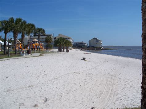 File:Cedar Key FL beach01.jpg - Wikimedia Commons