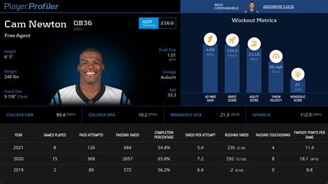 Cam Newton Stats & Fantasy Ranking - PlayerProfiler