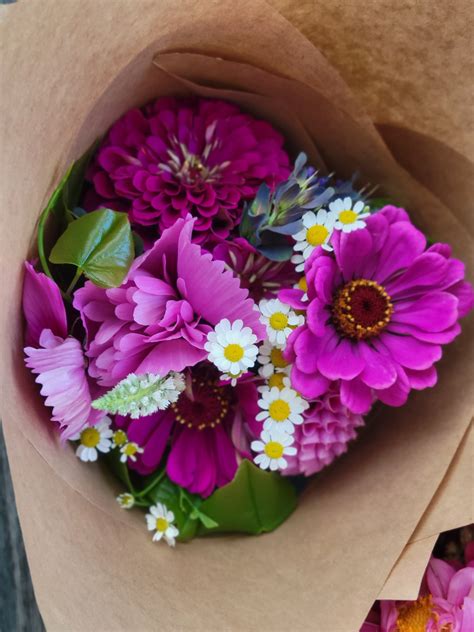 In -Season Bouquet — Ameraucana Farms