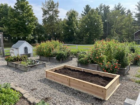 How to Make a Cedar DIY Raised Garden Bed » Tree Farm Design Co.