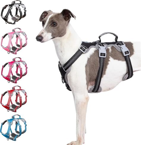 Amazon.com : Huntboo Escape Proof Harness, No Slip Dog Harness Escape ...