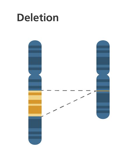 Home | Chromosome, Chromosome structure, Chromosomal abnormalities