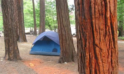 Yosemite National Park - Top Campsites in Yosemite - AllTrips