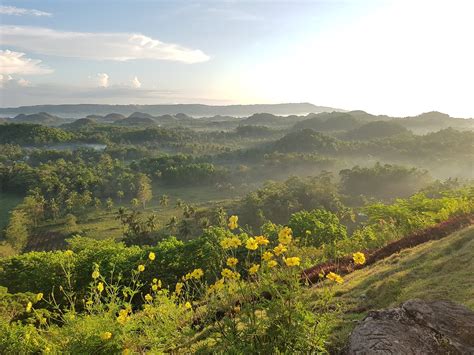 DIE TOP 30 Sehenswürdigkeiten in Bohol Island (2024)