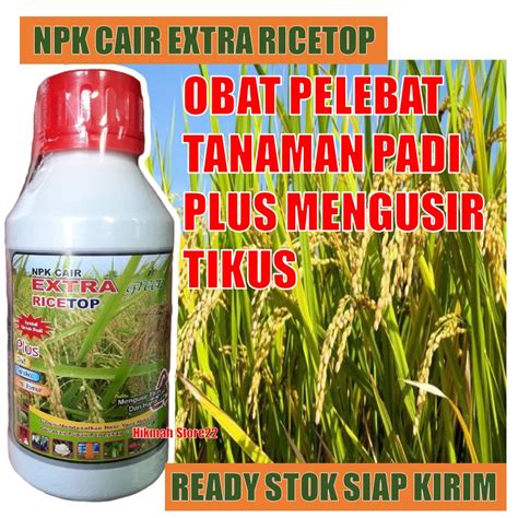 Jual COD RICE TOP 500 ML Merangsang Pertumbuhan Pada Tanaman Padi Sekaligus Mengusir Hama Tikus ...