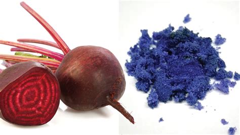 A chemistry tweak can turn beets’ red juice into a true blue dye | Science News