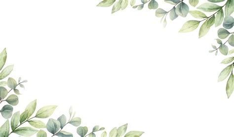 Premium Vector | Watercolor vector card of green branches and leaves