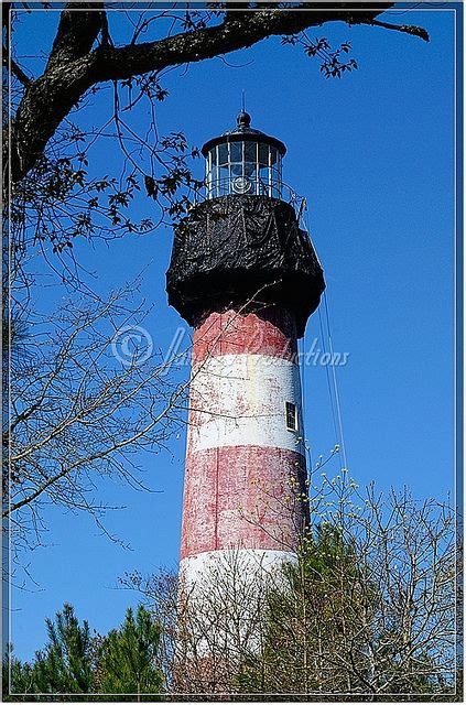 Eastern Shore of Virginia Spring 2009 Migration Shoot - Chincoteague lighthouse | Island ...