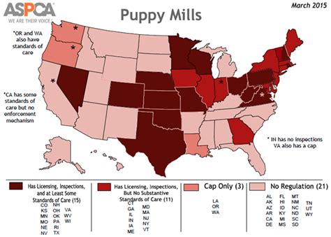 Why Are Some States Havens for Puppy Mills? | ASPCA