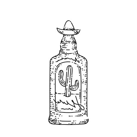 tequila bottle sketch hand drawn vector 17418366 Vector Art at Vecteezy