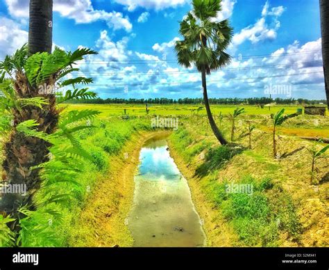 Natural beauty of bangladesh hi-res stock photography and images - Alamy