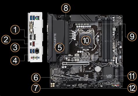 Z590M (rev. 1.0) Key Features | Motherboard - GIGABYTE Global