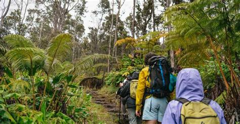 Big Island: Nature's Haven: Volcano Hike in National Park! | GetYourGuide