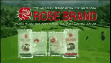 Rose Brand Ngakak GIF - Rose Brand Ngakak Tepung - Discover & Share GIFs