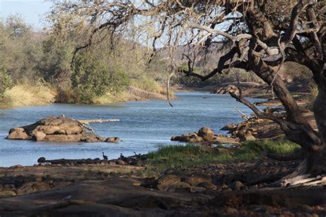 Kunene River in the afternoon