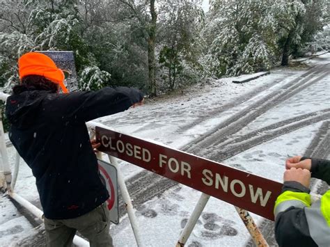 Bay Area Snow Totals: How Much Has Fallen? | San Francisco, CA Patch