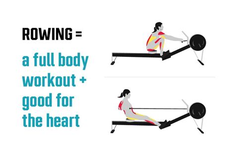 13 Expert-Verified Rowing Machine Benefits | Garage Gym Reviews