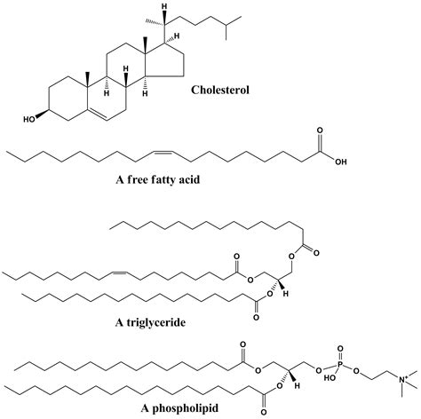 What functional groups are found in lipids?