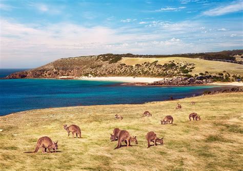 Major Travel Plc :: Melbourne to Adelaide via Kangaroo Island Self Drive