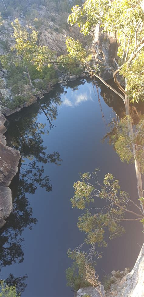 Crows Nest National Park – Birdlife Southern Queensland – Darling Downs ...