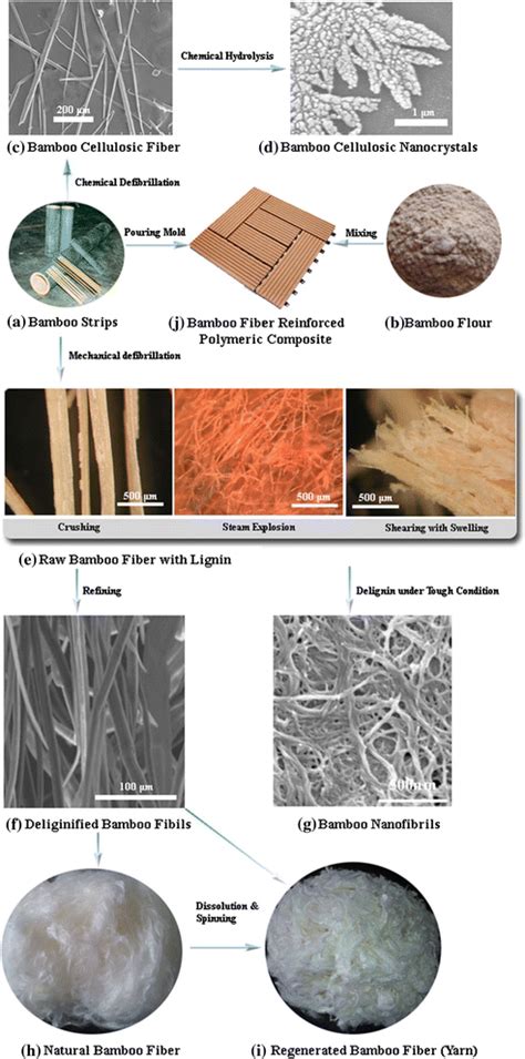 Bamboo fiber and its reinforced composites: structure and properties ...