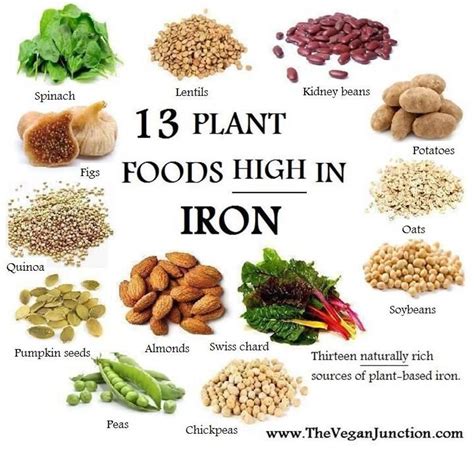 The 25+ best Foods high in iron ideas on Pinterest