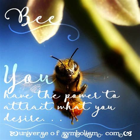 Bee Symbolism & Bee Meaning | Bee Spirit & Totem Animal Guidance