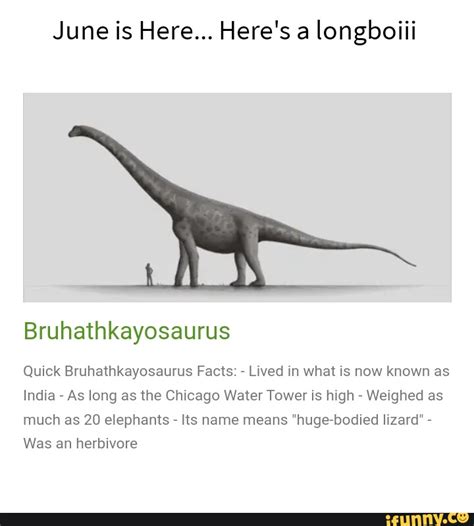 Bruhathkayosaurus Fossils