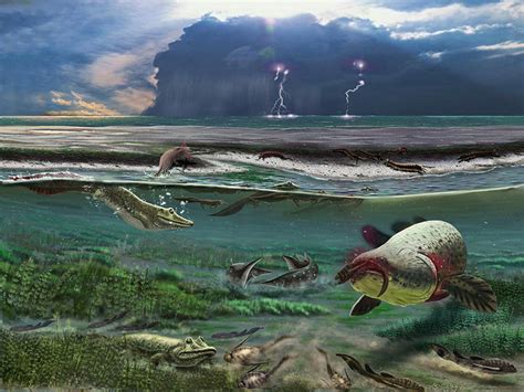 Parmastega aelidae: Devonian Tetrapod Had Crocodile-Like Lifestyle ...