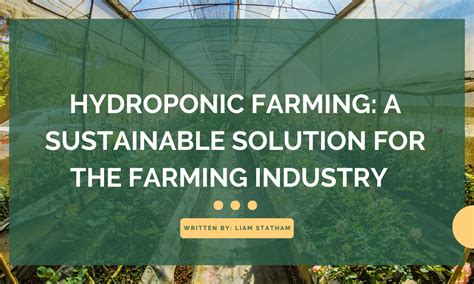 Hydroponic Farming: A Sustainable Solution for the Farming Industry ...