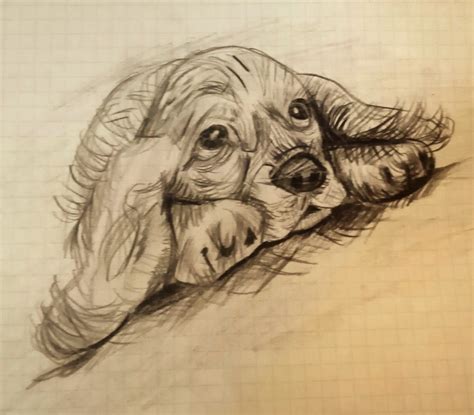 Perro perrito dibujo a lápiz | Perros dibujos a lapiz, Dibujos de ...