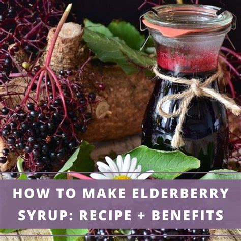 How To Make Elderberry Syrup: Recipe + Benefits - Aromatherapy Anywhere