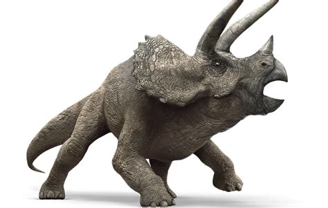 Image - Triceratops.png | Monster Hunter Fanon | FANDOM powered by Wikia