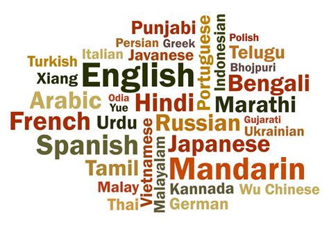 Hindi language – Brain Logics