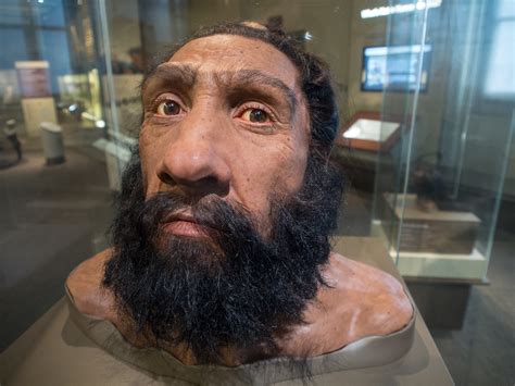 Neanderthal man | Miles Barger | Flickr
