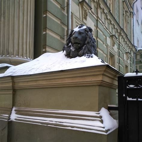 The Lion in Winter | Andrey | Flickr