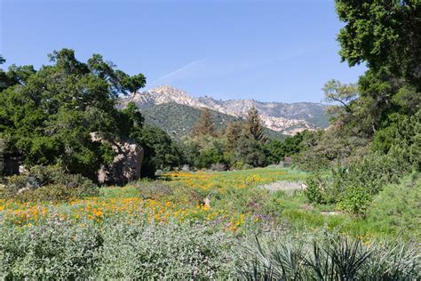 On the Grid : Santa Barbara Botanic Garden