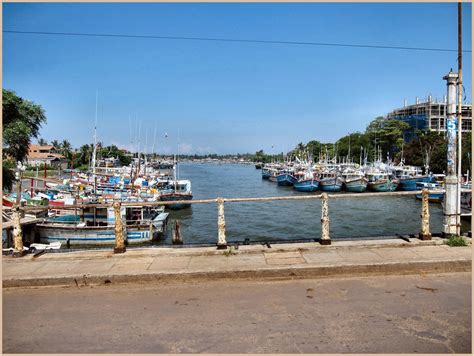 Negombo Lagoon | Things To Do, Wildlife, Shopping @Holidify