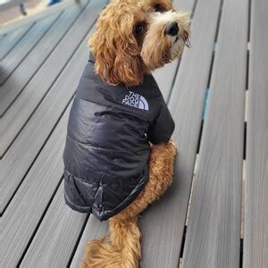 North Face Dog Face Winter Dog Puffer Down Jacket Coat - Etsy UK