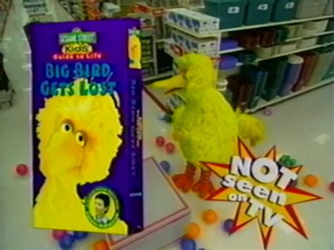 Opening and Closing to Sesame Street: Big Bird Gets Lost (1998 Lyrick Studios VHS) | Custom Time ...