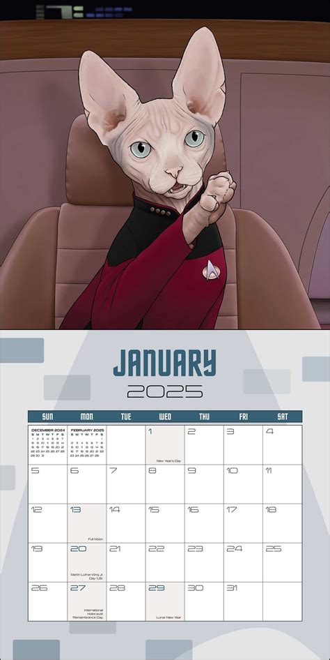 Star Trek: Cats 2025 Wall Calendar - Book Summary & Video | Official ...