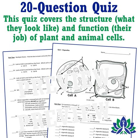 Plant and Animal Cell Organelles QUIZ - Flying Colors Science