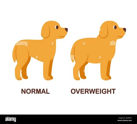 Fat Dog Clipart